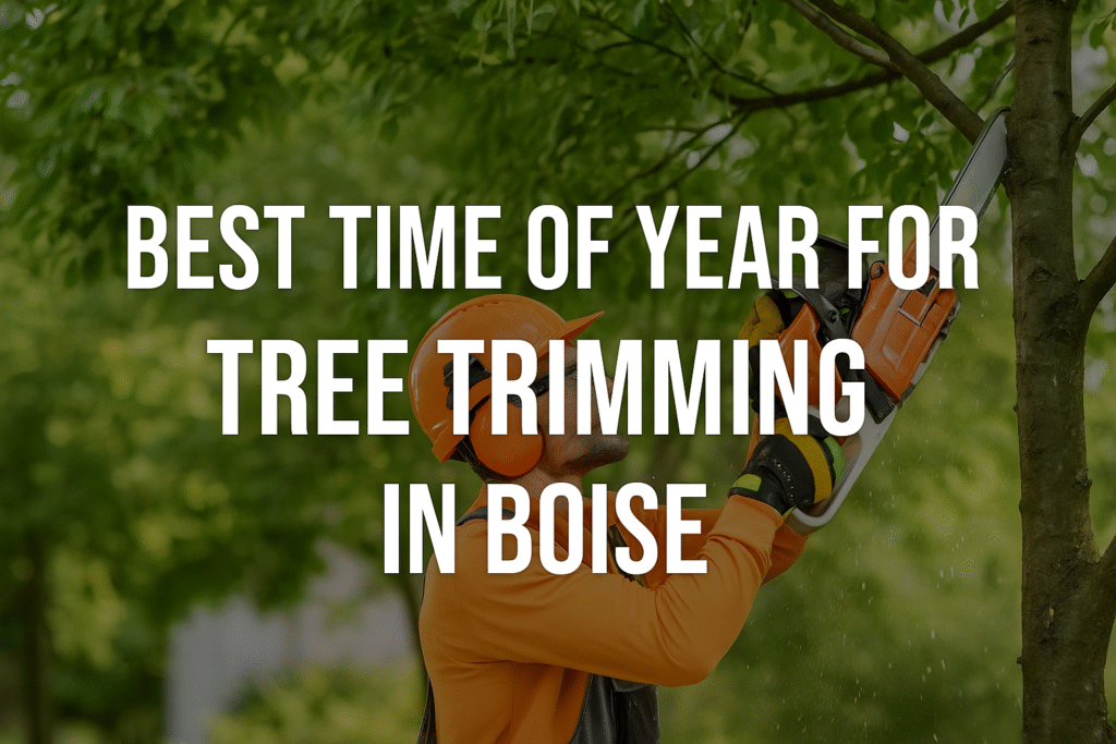 tree trimming in boise